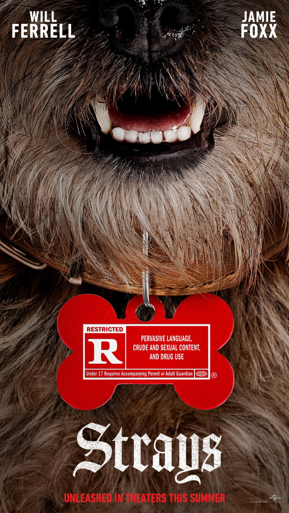 فیلم Strays 2023 | ولگردها